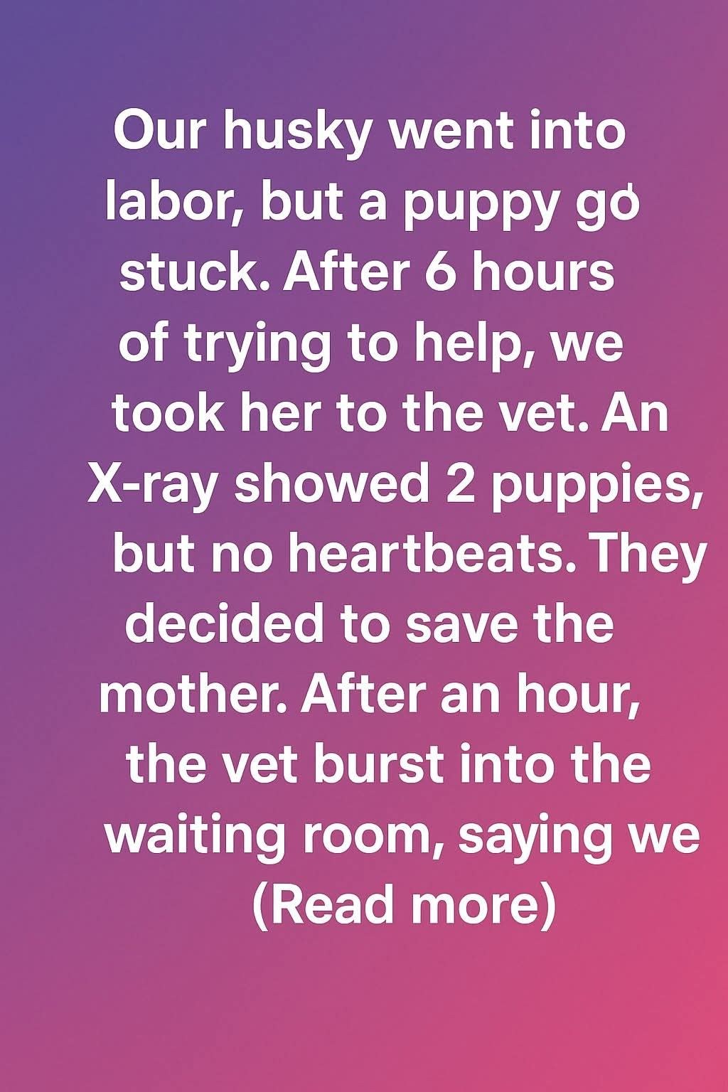 A Miracle Named Hope! How Our Husky and Her Puppy Beat the Odds