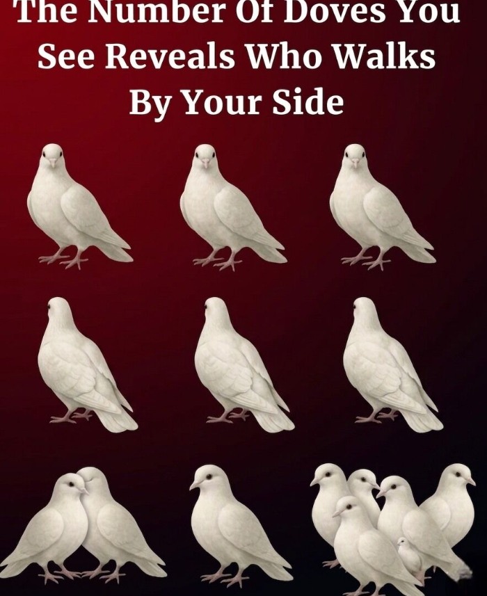 THE SECRET BEHIND THE DOVES REVEALED HOW THIS MYSTERIOUS VISUAL TEST EXPOSES THE HIDDEN GUARDIAN WALKING BY YOUR SIDE AND THE TRUTH ABOUT YOUR FUTURE