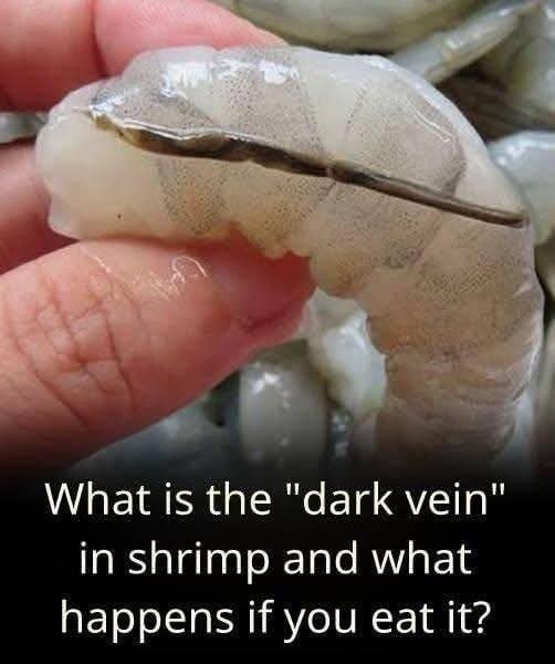 THE HIDDEN TRUTH ABOUT THE SHRIMP VEIN AND WHY YOU NEED TO KNOW WHAT YOU ARE REALLY EATING BEFORE YOUR NEXT SEAFOOD DINNER
